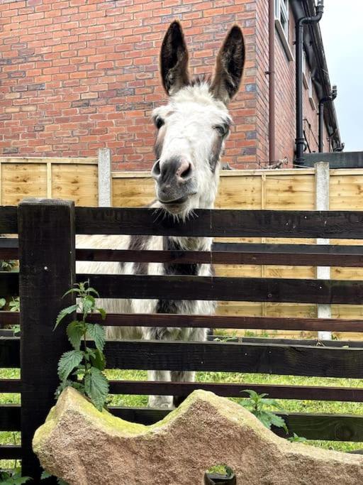 4 Bedroom - Sleep 9 Home In Cheadle Staffordshire - Alton Towers Polar Express Dimmingsdale Peak District Trentham Gardens Water World Kültér fotó